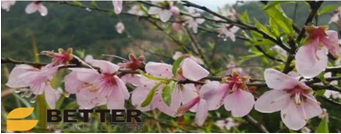 安徽百特新材料公司風(fēng)景 安徽百特新材料公司風(fēng)景