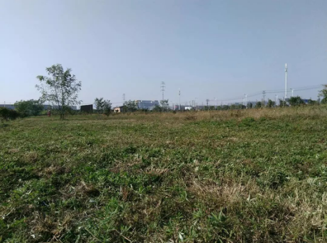 圖片6.png 圖片6.png