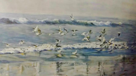 圖片6.png 圖片6.png