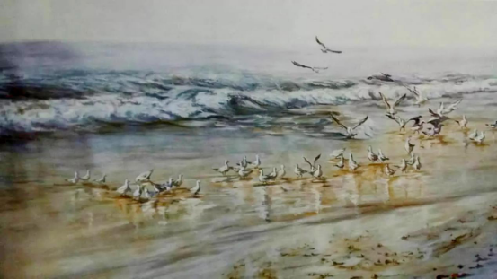 圖片14.png 圖片14.png