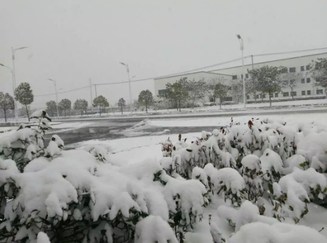 圖片2.png 圖片2.png