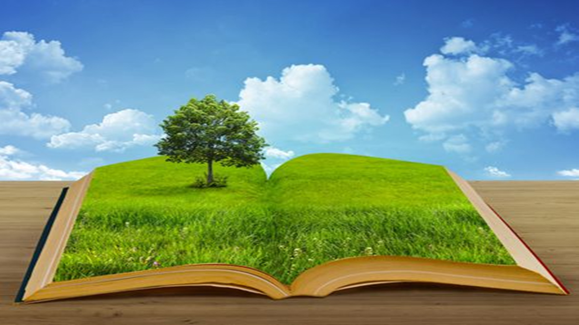 常見A級保溫材料的各大性能